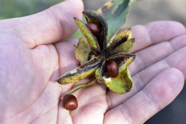 Similar image 21419740