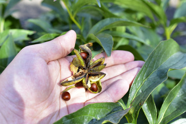 Similar image 21419742