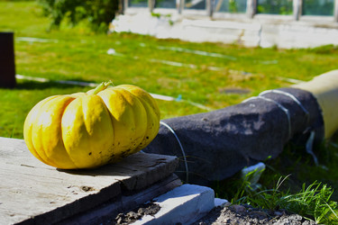 Similar image 21419743