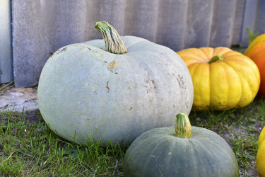 Similar image 21419621