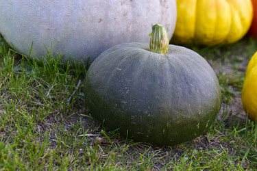 Similar image 21419625