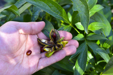 Similar image 21419626