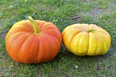 Similar image 21419628