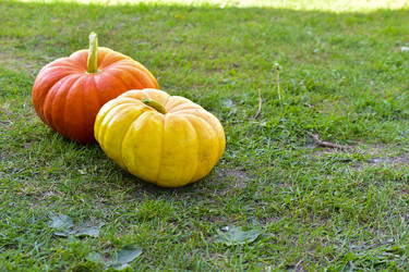 Similar image 21419634