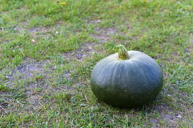 Similar image 21419636