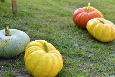 Similar image 21419642