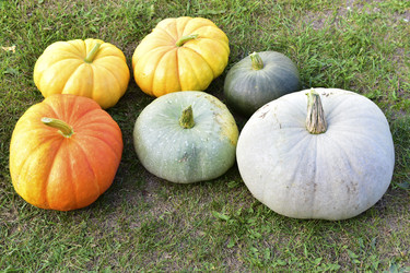 Similar image 21419646