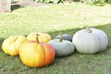 Similar image 21419648