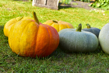 Similar image 21419650