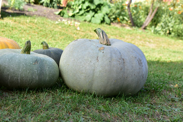 Similar image 21419656