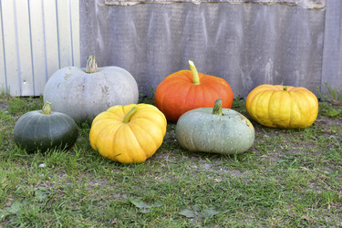 Similar image 21419744