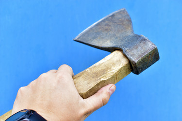 Similar image 21419749