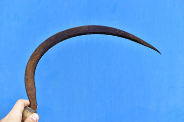 Similar image 21419754