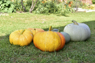 Similar image 21419766