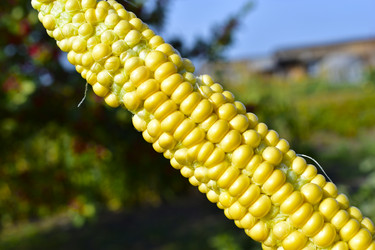 Similar image 21419767