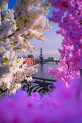 Similar image 21420215