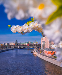 Similar image 21420217