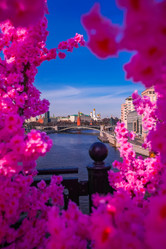 Similar image 21420218