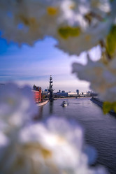 Similar image 21420219