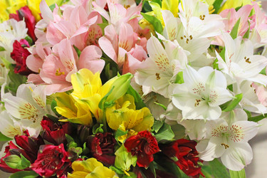 Similar image 21421801