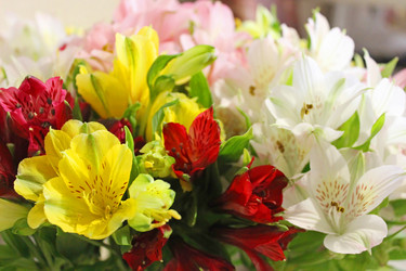 Similar image 21421802