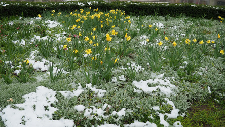 Similar image 21422959