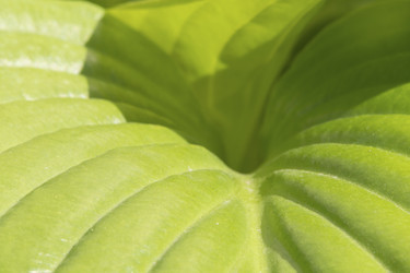 Similar image 21417308