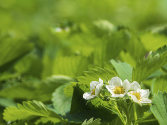 Similar image 21417309