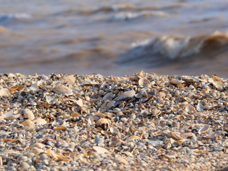 Similar image 21417313