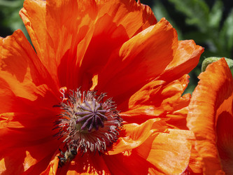 Similar image 21417315