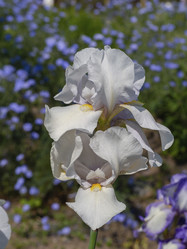 Similar image 21417316