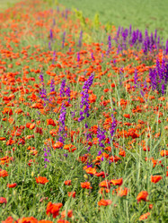 Similar image 21417317