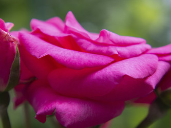 Similar image 21417318