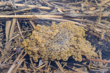 Similar image 21418843