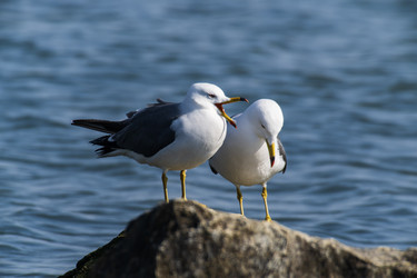 Similar image 21418844