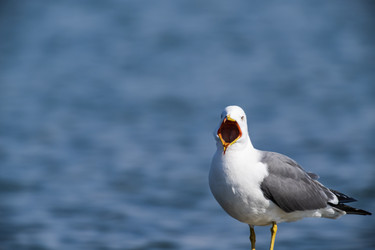 Similar image 21418845