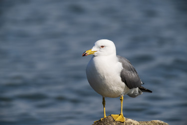 Similar image 21418846