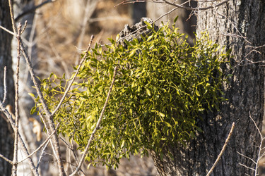 Similar image 21420222