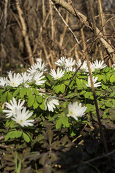 Similar image 21420223