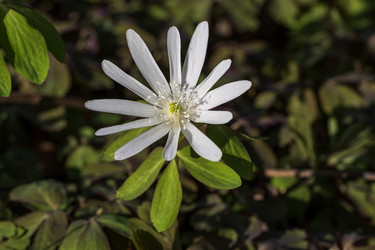 Similar image 21420224