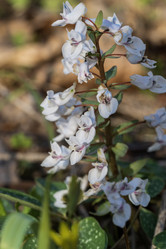 Similar image 21420225