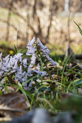 Similar image 21420226