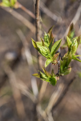 Similar image 21420228