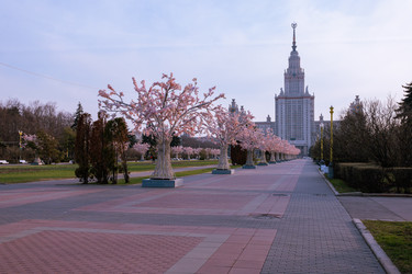 Similar image 21417743