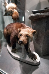 Similar image 21420237