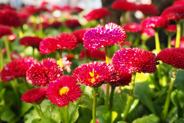 Similar image 21422601