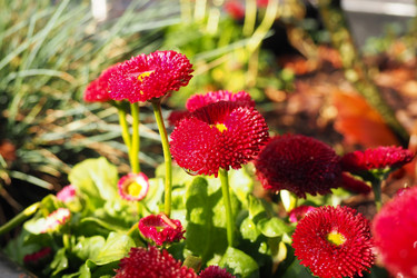 Similar image 21422602