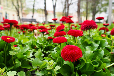 Similar image 21422927