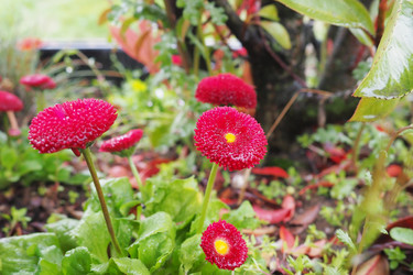 Similar image 21422930