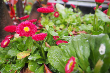 Similar image 21422931